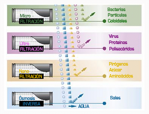 comparativa